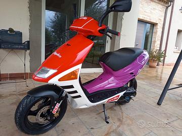 Aprilia sr reggiani replica 