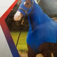 Copricollo in Lycra per Pony