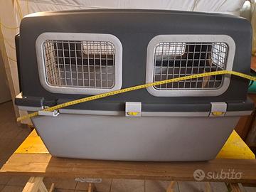 Kennel