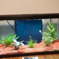 Acquario Askoll Aqua 60 con mobiletto