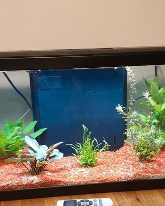 Acquario Askoll Aqua 60 con mobiletto