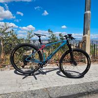 MTB Lapierre Pro Race CF5.9 in carbonio 
