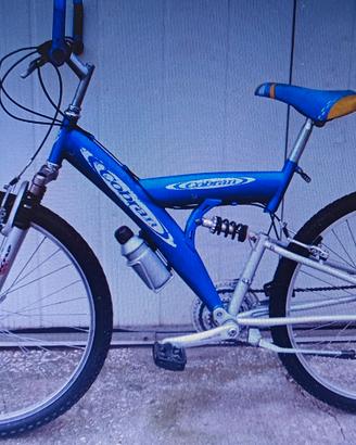 bicicletta 