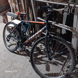 bicicletta 