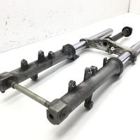 FORCELLA - CREPE SU PARAPOLVERI E PUNTI DI RUGGINE