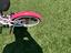 Immagine 5