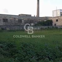 Terreno Edificabile - Torre Santa Susanna