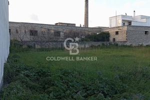 Terreno Edificabile - Torre Santa Susanna