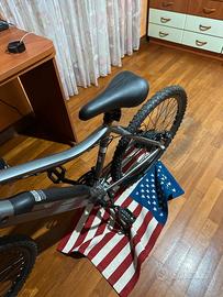 Bicicletta elettrica