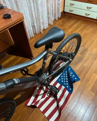 Bicicletta elettrica