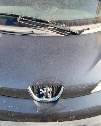 PEUGEOT 107 2006 COFANO ANTERIORE