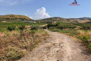 Terreno di 5000 m² a Alcamo