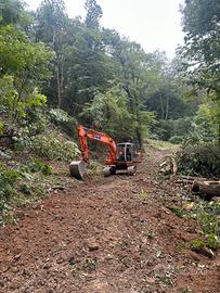 Escavatore hitachi ex 135