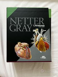 Cofanetto Netter Gray 