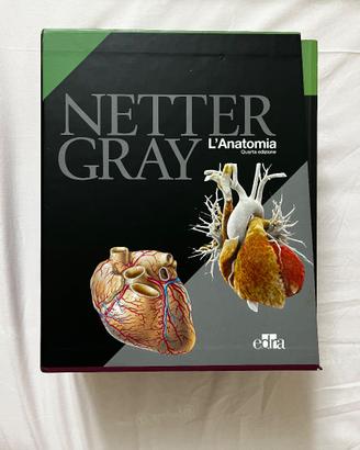 Cofanetto Netter Gray 