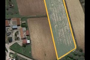 Terreno Agricolo Galatone 8000m2