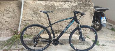 MTB olimpya bull 29