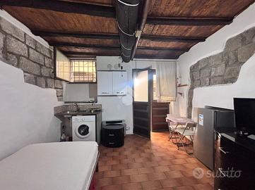 MONOLOCALE A VITERBO