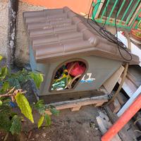 cuccia taglia grande