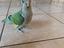 Immagine 2