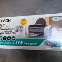 stampante EPSON C66