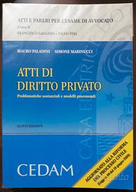 Atti di diritto privato, 9788813283063