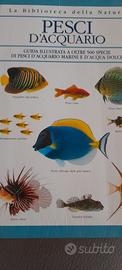 pesci  d'acquario  