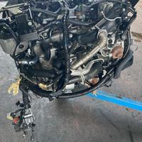 MOTORE Ford Fiesta VI 1.4 51.5kW 70Cv KVJA 2012