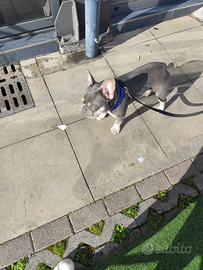 Disponibile per monte