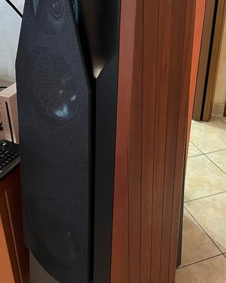 Diffusori Compact WZ-5 SE Collector's Edition