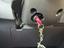 Immagine 13