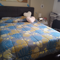 Camera da letto più comodini più mobile più librer