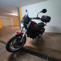 Benelli Leoncino 500 treil