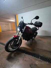 Benelli Leoncino 500 treil