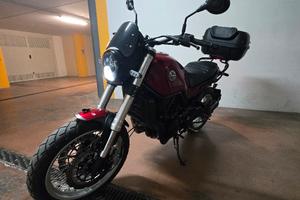 Benelli Leoncino 500 treil