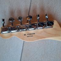 telecaster pink  paisley reissue 69 japan