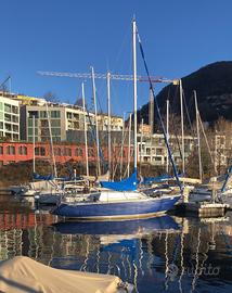 Lambrusco Cider barca vela