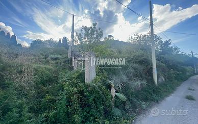 Terreno agricolo a gesso