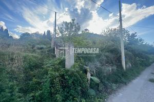 Terreno agricolo a gesso