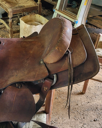Selle per cavallo