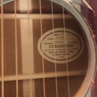 Chitarra acustica Gibson J45 Bozeman