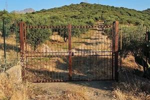 Terreno uliveto con possibilità edificatoria