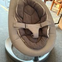 Sdraietta nuna leaf grow