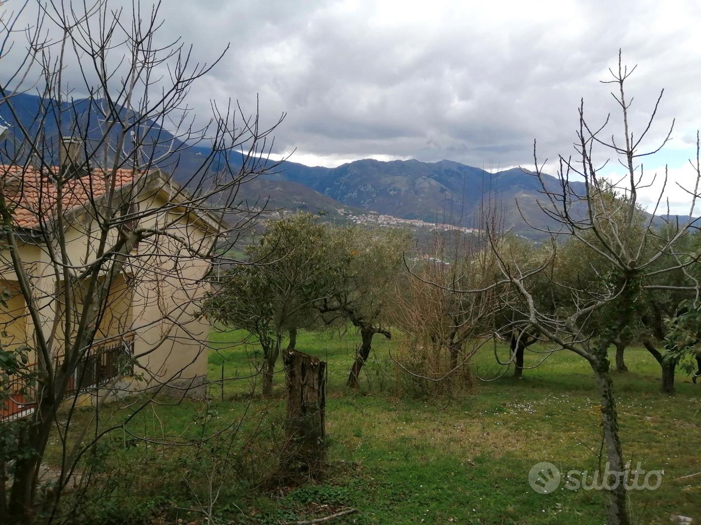 Casa all'interno di un uliveto - Vista 3