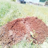 letame, stallatico , concime,  di cavallo