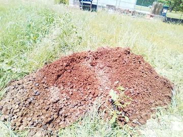 letame, stallatico , concime,  di cavallo