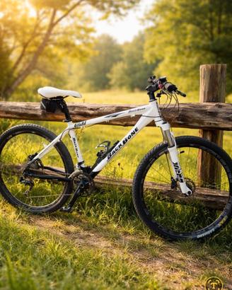 Titolo: MTB Back Bone taglia M