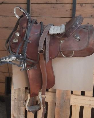 Sella cavallo Crates