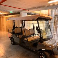 Golf Cart Elettrico 6 posti con batteria a litio