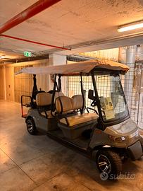 Golf Cart Elettrico 6 posti con batteria a litio
